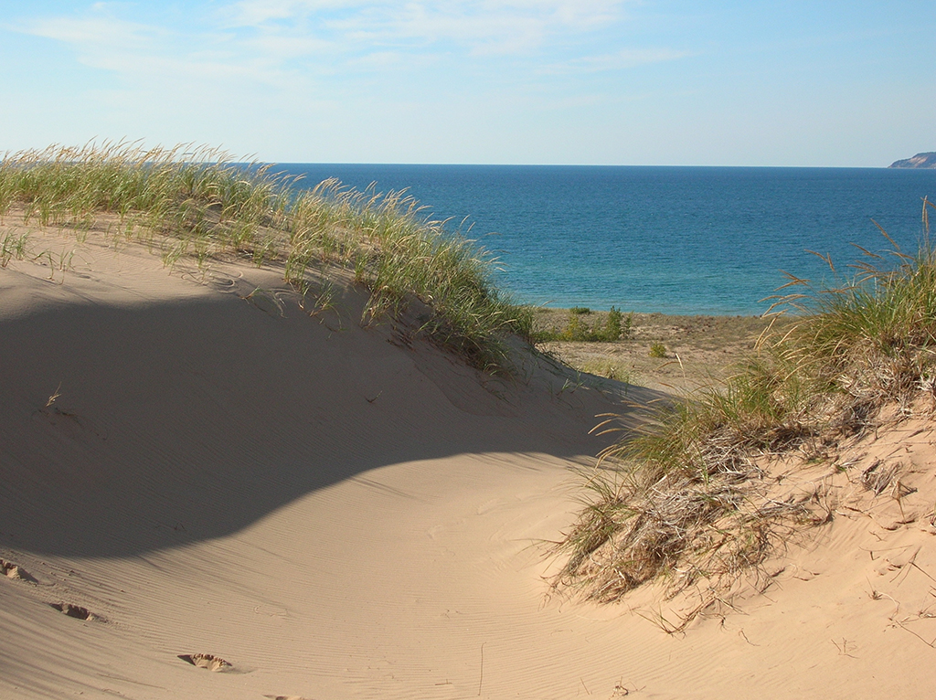 List of National Parks by State: A Complete List of All 400+ US National Parks 35 Sand dunes on the shore of the ocean with little spurts of green grass growing