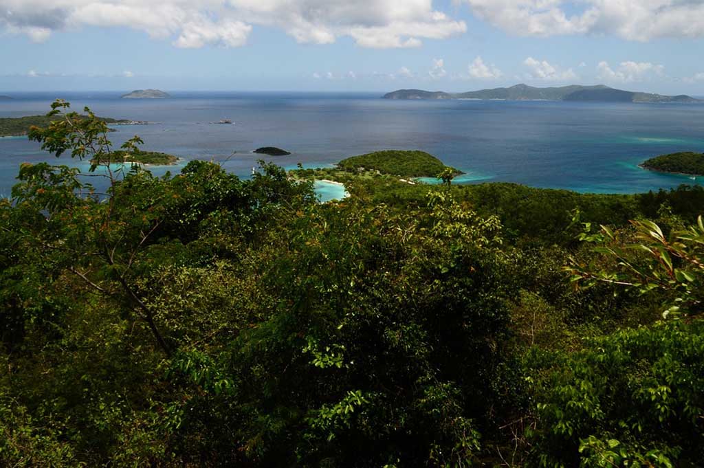 List of National Parks by State: A Complete List of All 400+ US National Parks 67 An overlook of green forest and the ocean