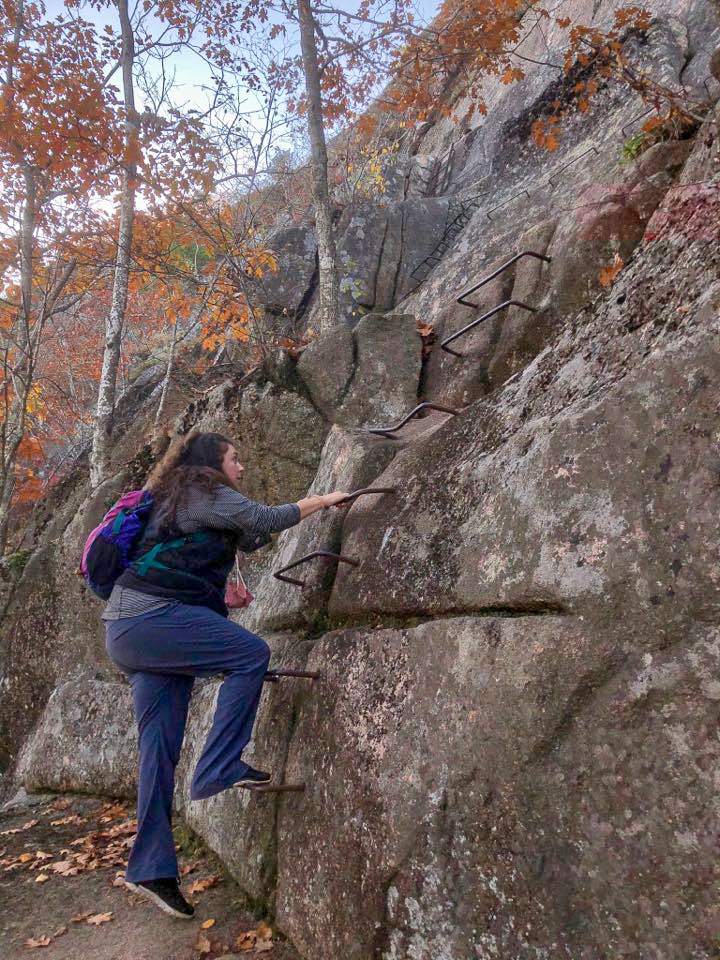 How to Hike the Heart-Stopping Precipice Trail in Acadia National Park 4 A woman begins to climb up a serious of iron rungs in granite rock to summit Champain Mountain via the Precipice Trail