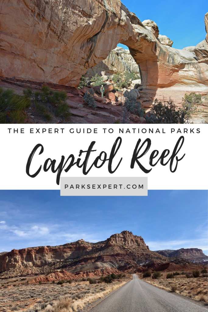 Visiting Capitol Reef National Park: The Expert Travel Guide 23 This guide includes everything you need to know for visiting Capitol Reef National Park including hikes, maps, things to do, and more from The Parks Expert. | Visiting Capitol Reef National Park | #capitolreef #utah #nationalparks