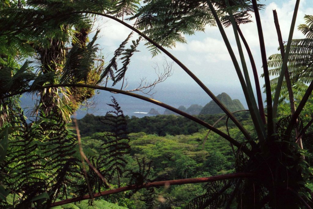 A List of All 63 National Parks in the U.S. Ranked by Their Popularity 83 Tropical trees over a green island in American Samoa, one of the US national parks