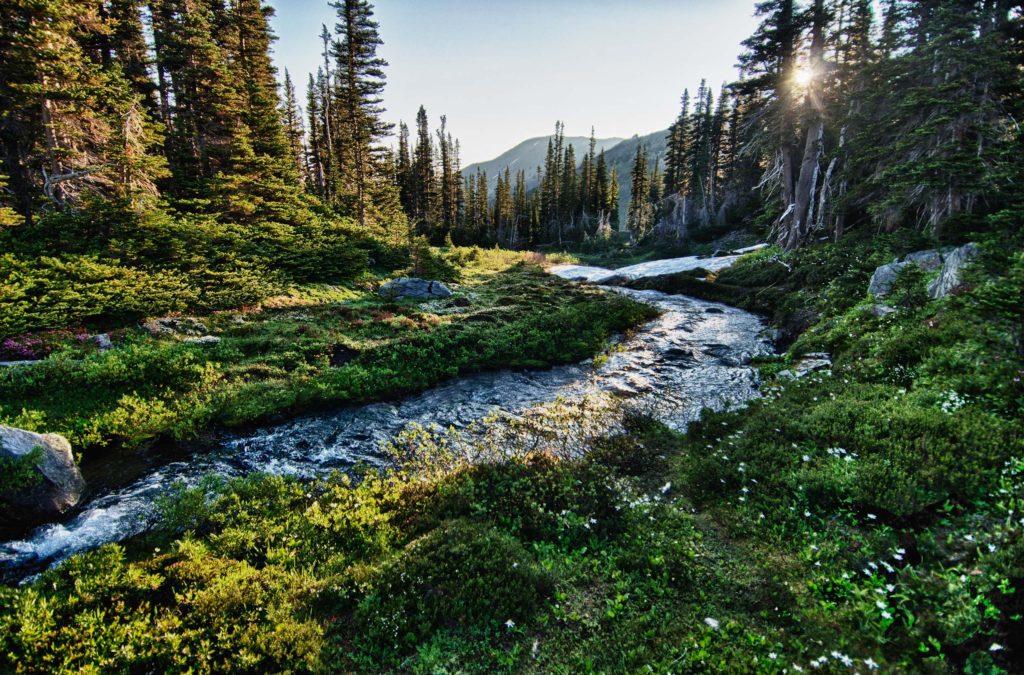 A List of All 63 National Parks in the U.S. Ranked by Their Popularity 30 A river runs through the rainforest in Olympic, one of the US national parks