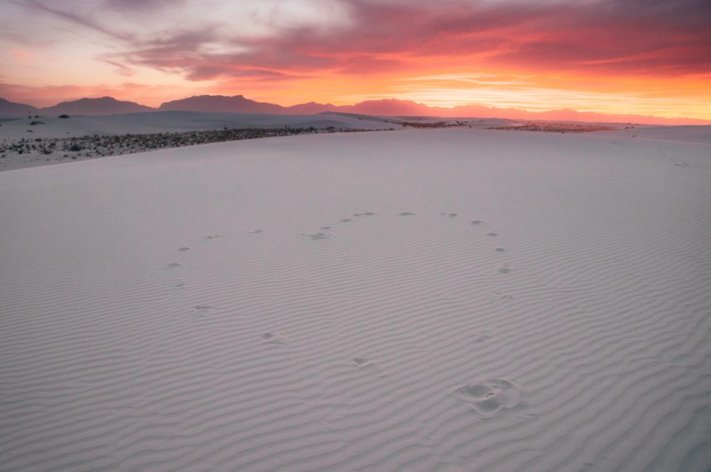 A List of All 63 National Parks in the U.S. Ranked by Their Popularity 52 The sun sets over White Sands, one of the US national parks