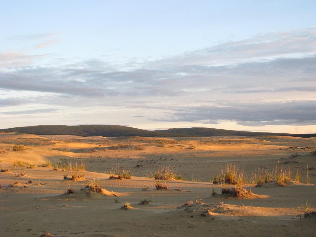16 Astonishing National Parks in Alaska 15 Sand dunes of Kobuk Valley√