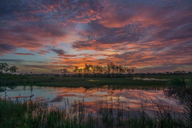 The sun setting over Big Cypress, one of the national parks in Florida
