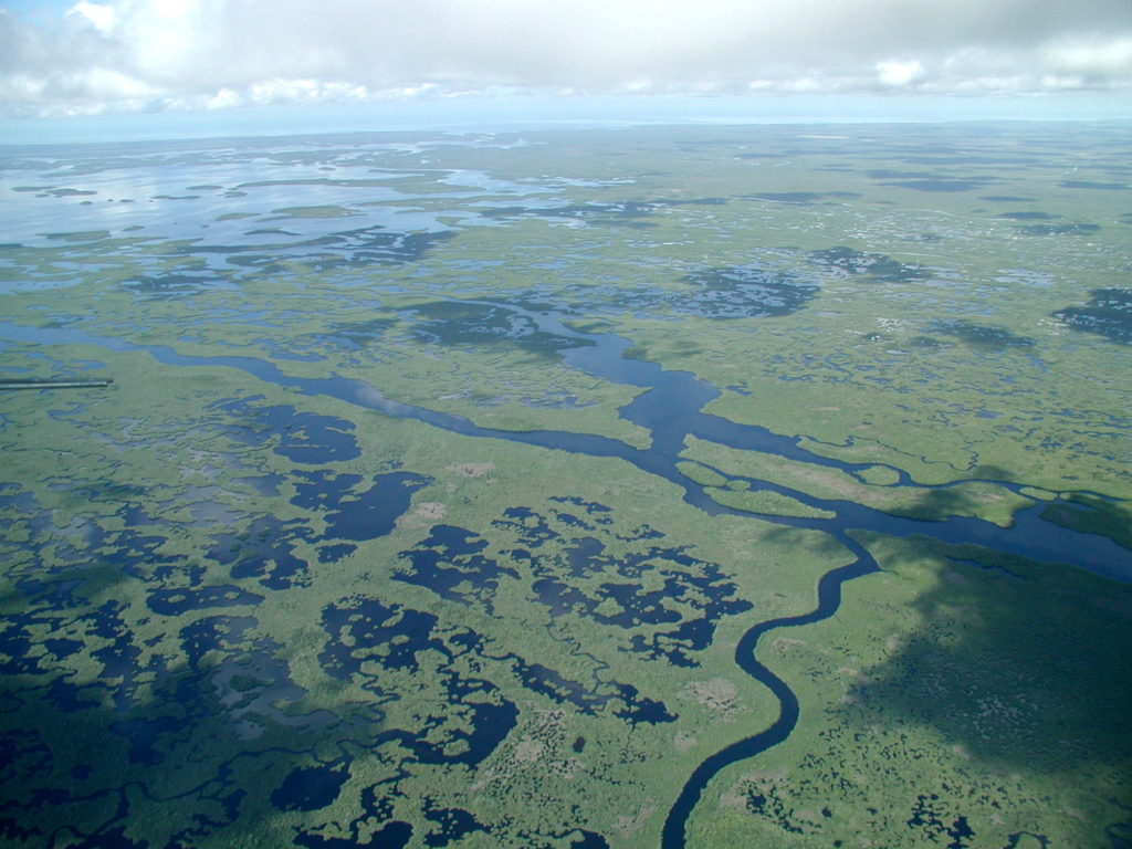 Visiting Everglades National Park: The Expert Guide 11 An aerial view of Everglades National Park. Photo taken while visiting Everglades National Park.