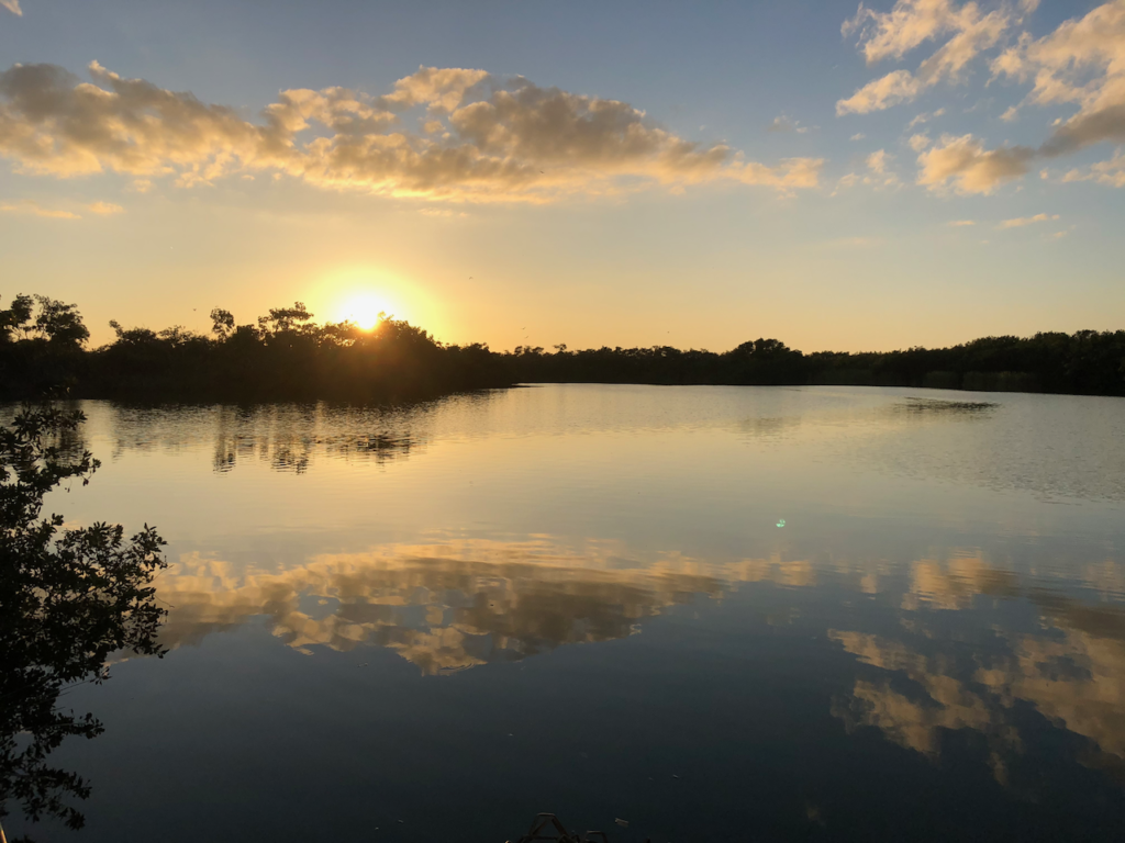 Visiting Everglades National Park: The Expert Guide 4 The sun setting over Paurotis Pond. Photo taken while visiting Everglades National Park.