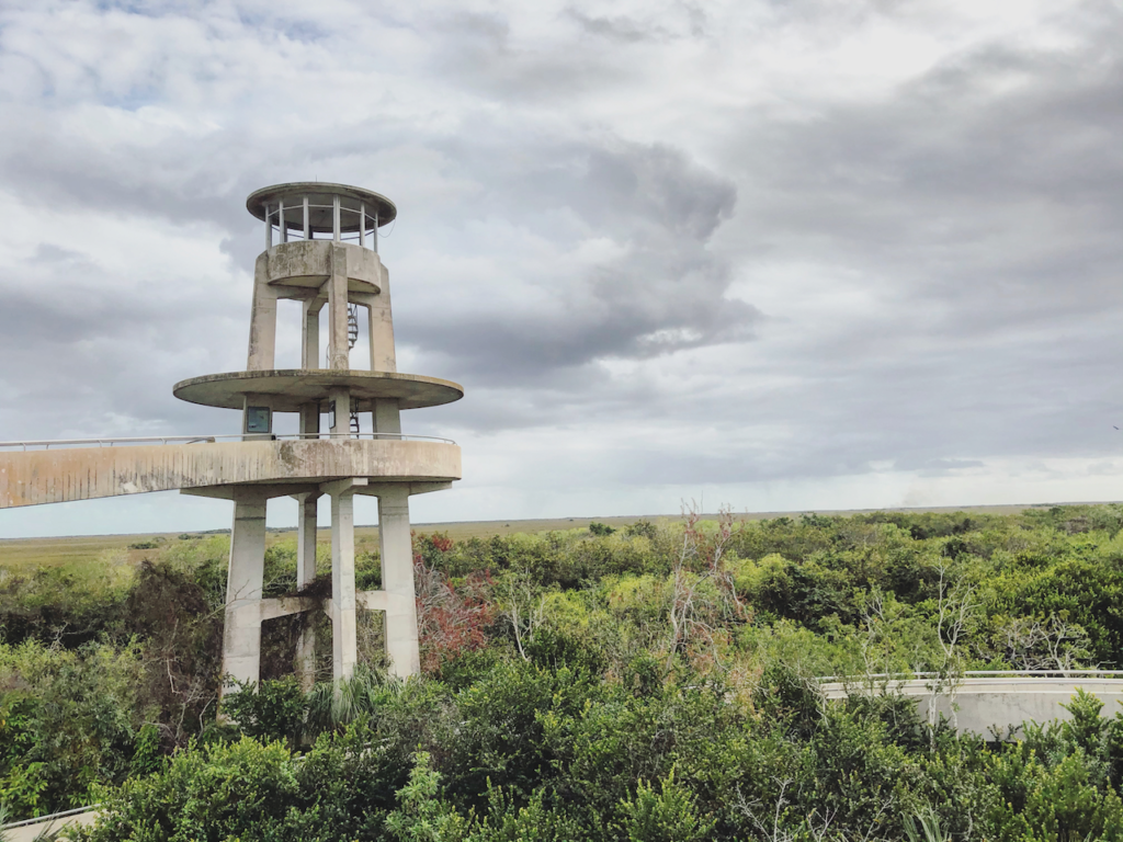 Visiting Everglades National Park: The Expert Guide 19 An observation tower looking over the swamp of Shark Valley. Photo taken while visiting Everglades National Park.