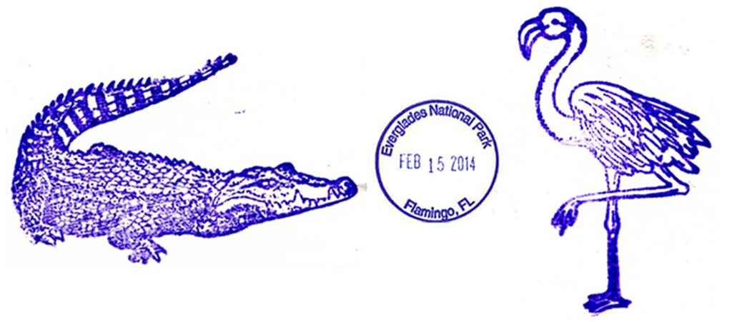 Visiting Everglades National Park: The Expert Guide 24 Three stamps from the Flamingo Visitor Center. Collected while visiting Everglades National Park.