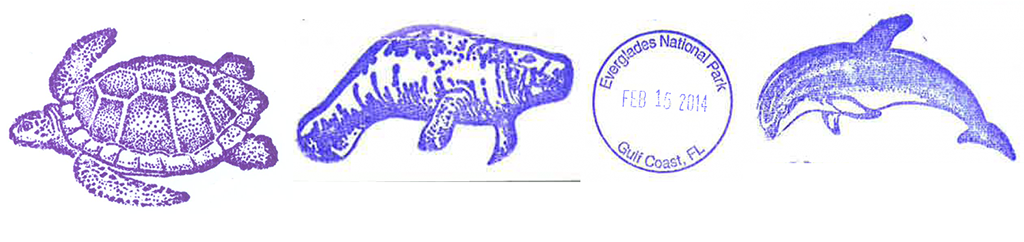 Visiting Everglades National Park: The Expert Guide 25 Four stamps from the Gulf Coast Visitor Center. Collected while visiting Everglades National Park.