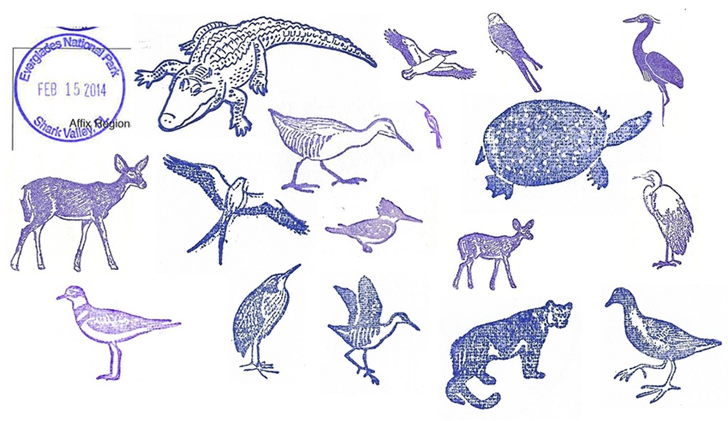 Visiting Everglades National Park: The Expert Guide 27 A collection of stamps from Shark Valley. Collected while visiting Everglades National Park.
