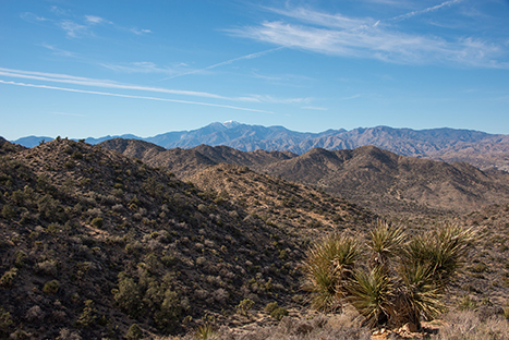 The 20 Best Hikes in Joshua Tree National Park That Will Blow Your Mind 7 A panoramic view from the Hi View Trail, one of the best hikes in Joshua Tree.