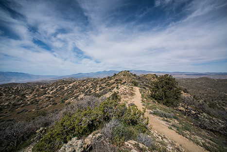 The 20 Best Hikes in Joshua Tree National Park That Will Blow Your Mind 11 A trail leads to the top of a peak. The Panorama Loop is one of the best hikes in Joshua Tree.