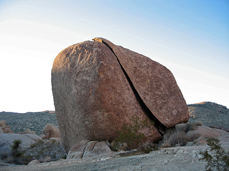 The 20 Best Hikes in Joshua Tree National Park That Will Blow Your Mind 24 A rock appears to be split in two. Split Rock is one of the best hikes in Joshua Tree.