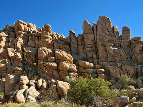 The 20 Best Hikes in Joshua Tree National Park That Will Blow Your Mind 25 Rock pillars. Willow Hole is one of the best hikes in Joshua Tree.