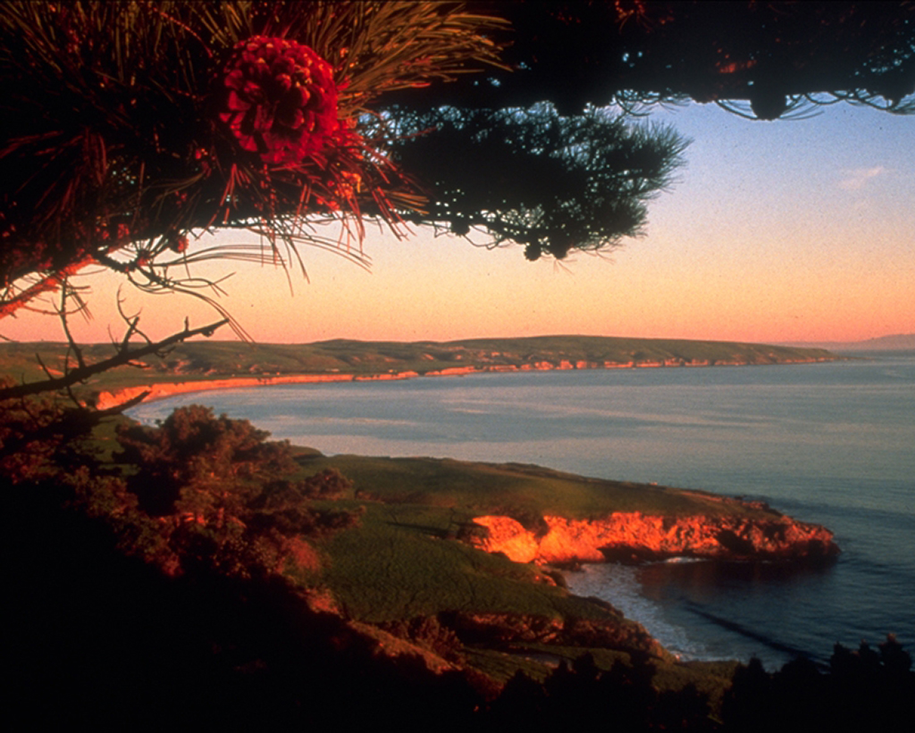 How to Get to Channel Islands National Park: Channel Islands Tours 14 Pink hues from sunset over Santa Rosa, seen during one of the Channel Islands tours