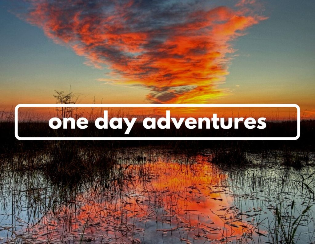 Plan 8 An image of a swamp at sunset. Across the center of the image are the words "one day adventures" in white.