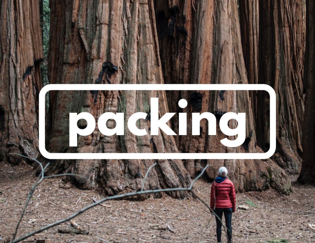 Plan 9 An image of a person staring at large trees. Across the center of the image is the word "packing" in white.