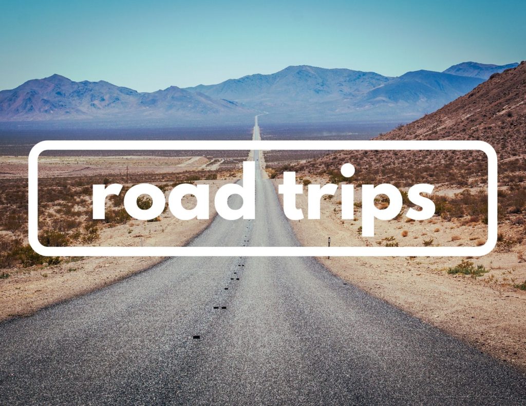 Plan 10 An image of a person with a paved road in the center of the photo that's leading to mountains. Across the center of the image are the words "road trips" in white.