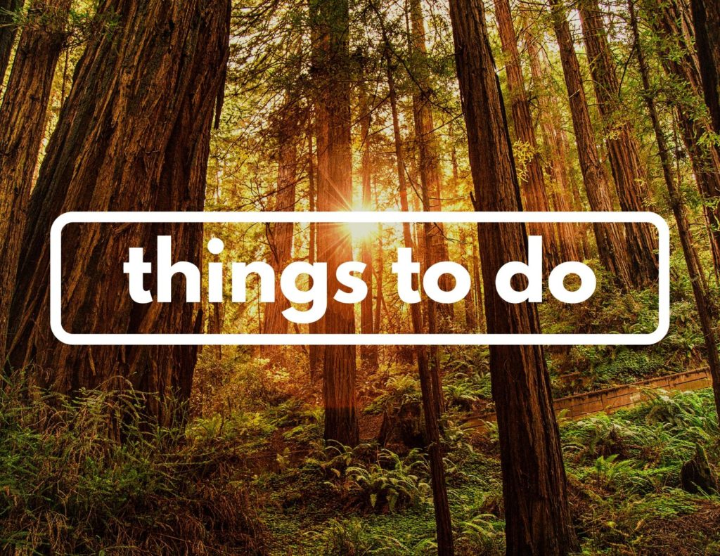 Plan 11 An image of the sun shining through trees. Across the center of the image are the words "things to do" in white.