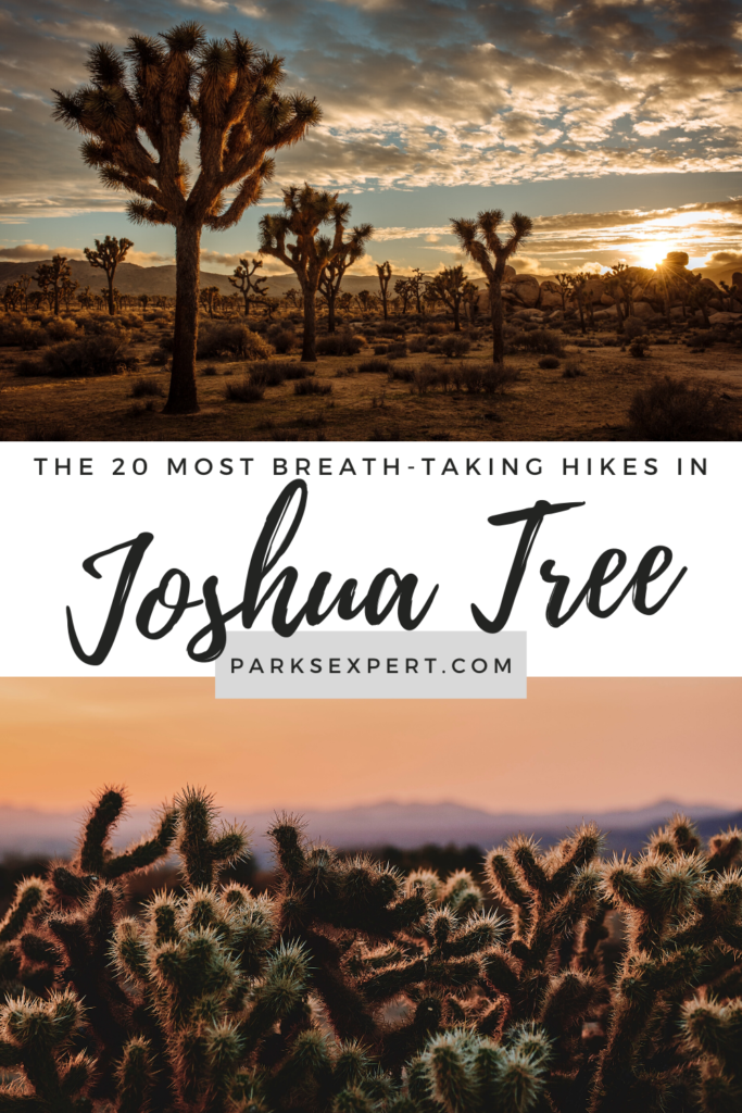 The 20 Best Hikes in Joshua Tree National Park That Will Blow Your Mind 31 Joshua trees, jumbo rocks, mountain summits, abandoned mines, and more are included in the 20 best hikes in Joshua Tree. Download the free checklist here! | Best Hikes in Joshua Tree National Park | #hiking #joshuatree #nationalparks #california