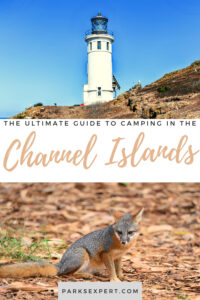 Everything You Need to Know About Channel Islands Camping 23 Booking a Channel Islands camping trip can be difficult and confusing. This guide to camping in Channel Islands will make your trip planning easy and smooth.