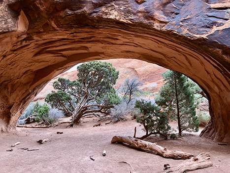 10 Best Hikes in Arches National Park That Lead to the Greatest Natural Arches in Utah 11 Navajo Arch, one of the best hikes in Arches National Park, features a large arch with a wide brim
