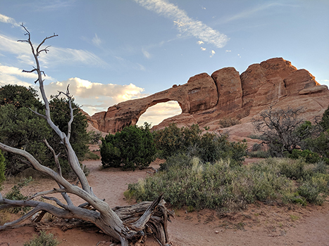 10 Best Hikes in Arches National Park That Lead to the Greatest Natural Arches in Utah 5 A dirt path leads to Skyline Arch, one of the best hikes in Arches National Park