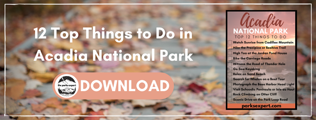 12 Things to Do in Acadia National Park That Will Take Your Breath Away 2 An image of red, orange, and brown leaves on a wooden boardwalk. The text on the image is encouraging you to download a checklist of things to do in Acadia National Park by signing up for e-mail notifications.