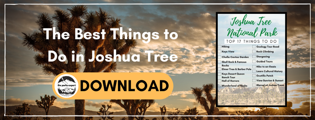 The 17 Most Amazing Things to Do in Joshua Tree National Park That Stole My Heart 4 An image of a forest of Joshua trees at sunset. The text on the image is encouraging you to download a checklist of things to do in Joshua Tree National Park by signing up for e-mail notifications.