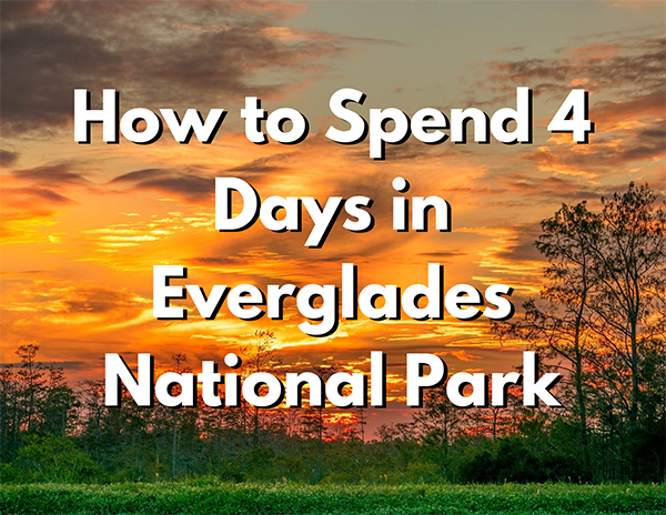 Dry Tortugas National Park 15 An image of green grass and an orange sunset. Over the image, white text with a black shadow reads "How to Spend 4 Days in Everglades National Park"