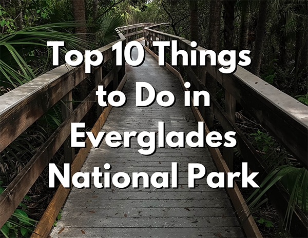 Dry Tortugas National Park 13 An image of wooden boardwalk in a tropical forest. Over the image, white text with a black shadow reads "Top 20 Things to Do in Everglades National Park"