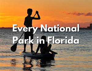 Biscayne National Park 3 An image of two children on a paddle board at sunset. Over the image, white text with a black shadow reads "Every National Park in Florida"