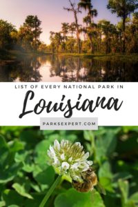4 Lovely National Parks in Louisiana 12 This complete guide to the four national parks in Louisiana includes how to get there, maps, things to do, where to stay, and more. Plus, download a free list! | National Parks in Louisiana | Louisiana National Parks | #nationalparks #louisiana
