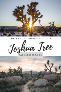 The 17 Most Amazing Things to Do in Joshua Tree National Park That Stole My Heart 48 There are so many great things to do in Joshua Tree for each type of visitor. If you want to admire trees, climb rocks, or a hike a trail, this list has it all. | Things to Do in Joshua Tree National Park | #joshuatree #joshuatreenationalpark #california #nationalparks