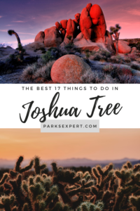 The 17 Most Amazing Things to Do in Joshua Tree National Park That Stole My Heart 50 There are so many great things to do in Joshua Tree for each type of visitor. If you want to admire trees, climb rocks, or a hike a trail, this list has it all. | Things to Do in Joshua Tree National Park | #joshuatree #joshuatreenationalpark #california #nationalparks