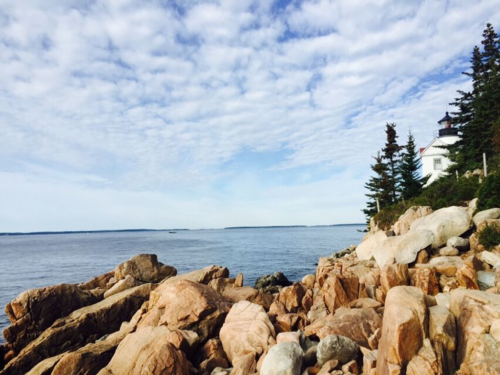 12 Things to Do in Acadia National Park That Will Take Your Breath Away 12 A white lighthouse nestled in the trees above brown rocks on the ocean shore. Visiting the Bass Harbor Head Lighthouse is one of the best things to do in Acadia National Park.