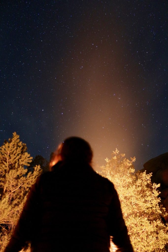 The 17 Most Amazing Things to Do in Joshua Tree National Park That Stole My Heart 18 A woman stares up at the night sky. Stargazing is one of the best things to do in Joshua Tree.