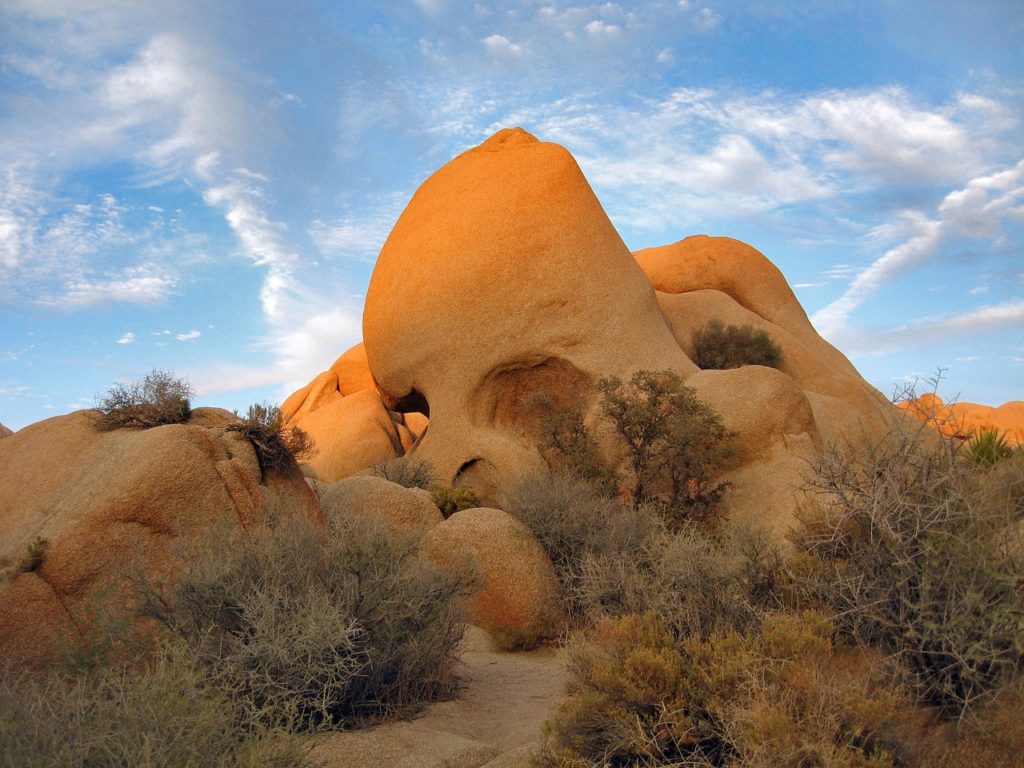 The 17 Most Amazing Things to Do in Joshua Tree National Park That Stole My Heart 8 A rock shaped like a skull. Skull Rock is one of the best things to do in Joshua Tree.