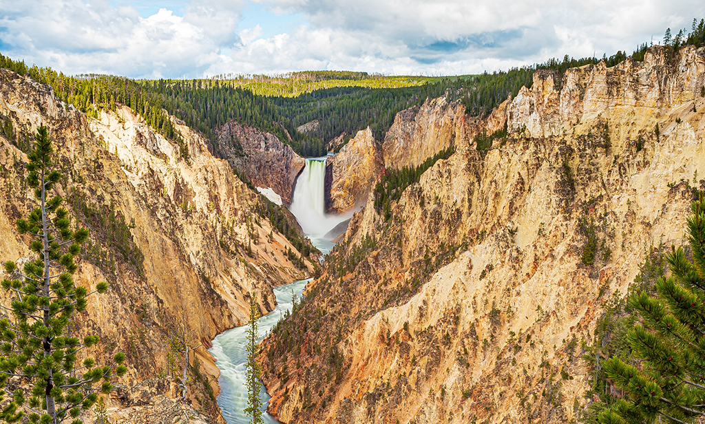 Yellowstone Itinerary: 4 Days in the World's First National Park 21 A large waterfall in a narrow yellow canyon. The yellow walls of this canyon are what give Yellowstone National Park its name, and any Yellowstone itinerary should include this attraction.