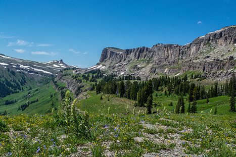 Best Hikes in Grand Teton: The 14 Best Long Day Hikes and Multi-Day Hikes in Grand Teton National Park 38 A green valley below granite peaks. Death Canyon is one of the best hikes in Grand Teton.