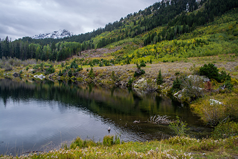 Best Hikes in Grand Teton: The 14 Best Long Day Hikes and Multi-Day Hikes in Grand Teton National Park 30 A small lake admist grassy trail. Trapper Lake is one of the best hikes in Grand Teton.