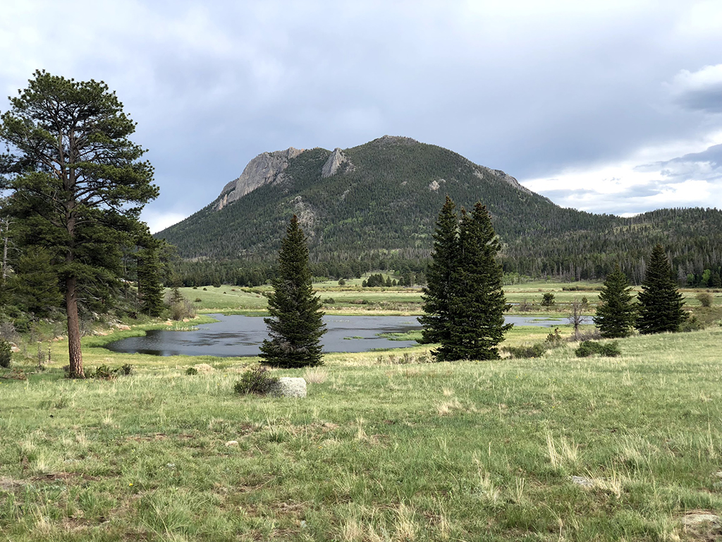 Driving Trail Ridge Road in Rocky Mountain National Park: Everywhere You Should Stop on The Exhilarating Drive 21 A group of trees by a circular pond seen while driving Trail Ridge Road