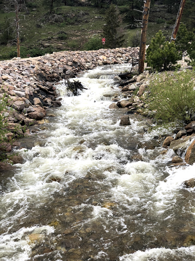 Driving Trail Ridge Road in Rocky Mountain National Park: Everywhere You Should Stop on The Exhilarating Drive 19 A clear stream rushes toward the camera, seen while driving Trail Ridge Road