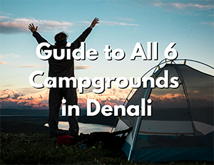 Camping 8 An image of a man with his arms in the air next to a tent. Over the image, white text with a black shadow reads "Guide to All 6 Campgrounds in Denali"
