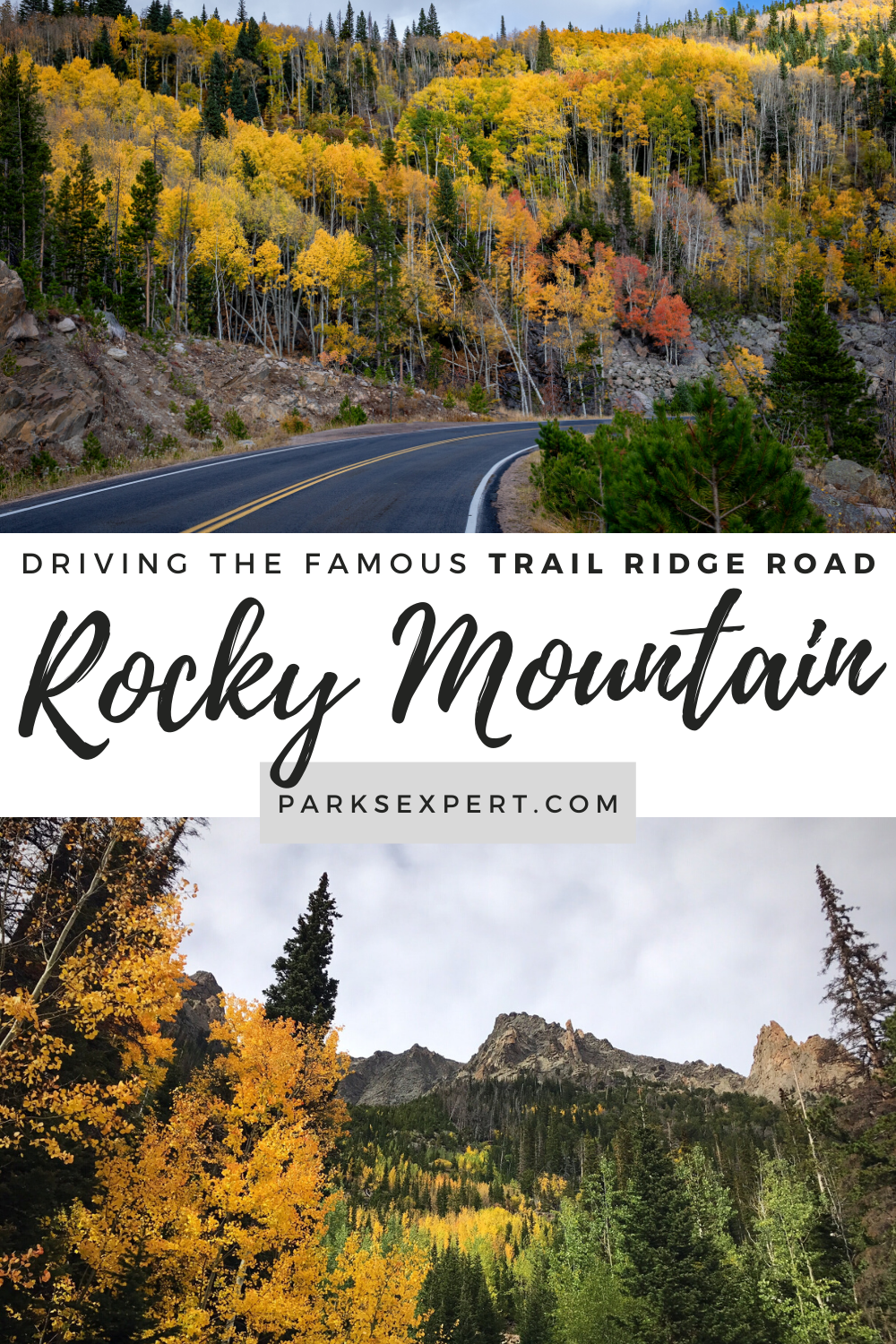 Driving Trail Ridge Road: Expert Tips for 2026 » The Parks Expert