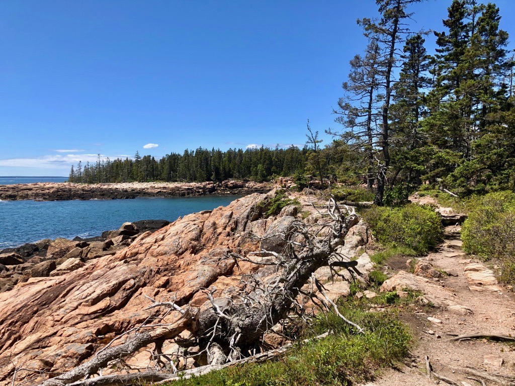 15 of the Best Hikes in Acadia National Park: Exploring Mount Desert Island 39 A wooded trail meets the rocky coastline on Ship Harbor Trail, one of the best hikes in Acadia National Park.
