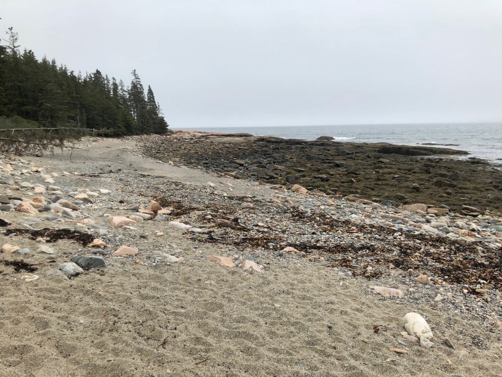 15 of the Best Hikes in Acadia National Park: Exploring Mount Desert Island 41 Rocks on the ocean shore of Wonderland Beach, one of the best hikes in Acadia National Park