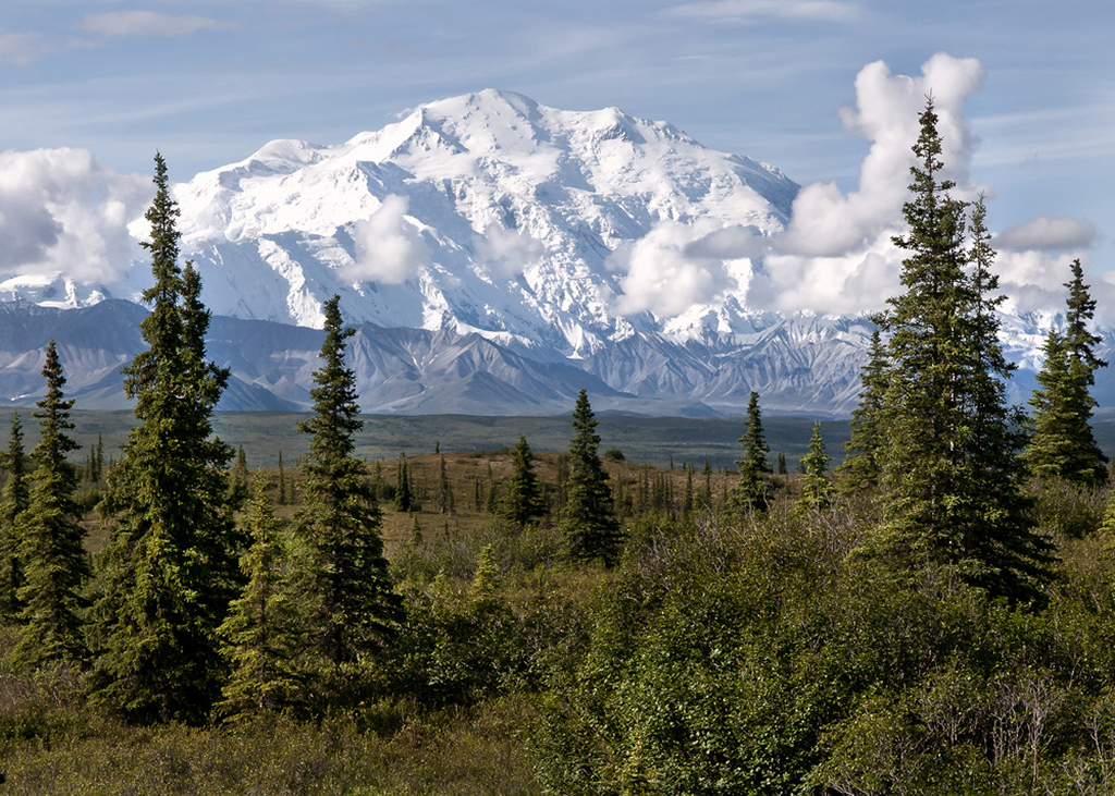 A large white mountain towering above a forest