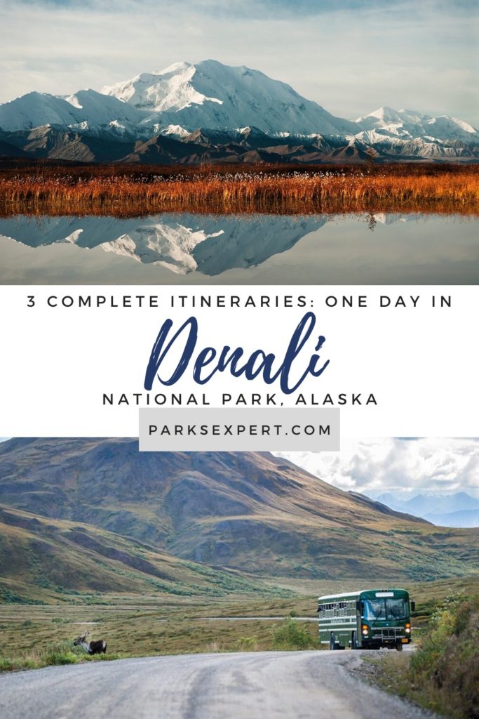 How to Spend One Epic Day in Denali National Park: Three Complete Denali Itineraries 11 Looking for a short and detailed Denali itinerary that allows you to see Denali National Park in one day? Visit the Parks Expert for three memorable options. | One Day in Denali | Denali Itinerary | #denalinationalpark #denali #alaska #nationalparks
